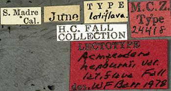 Media type: image;   Entomology 24418 Aspect: labels